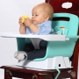 hedgehog teether