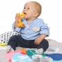 giraffe teether