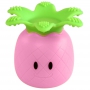 pineapple teether