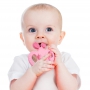 Butterfly Teether
