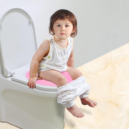 potty seat